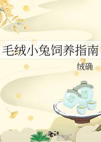 毛绒小兔饲养指南